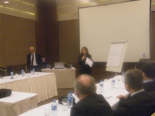 İnsan Hakları Kurullarını Güçlendirme Çalıştayı - 7