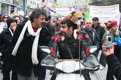 Hayvanseverler Yaşam Hakkı İçin Yürüdü

 - 50