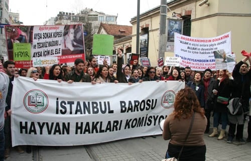 Hayvanseverler Yaşam Hakkı İçin Yürüdü

 - 52