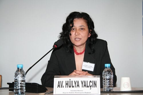 Hayvanların Yaşama Hakkı  İnsan Haklarımıza Dâhildir - 38