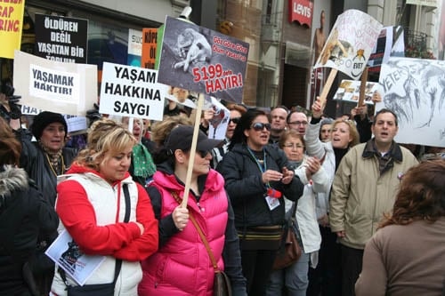 Hayvanseverler Yaşam Hakkı İçin Yürüdü

 - 42