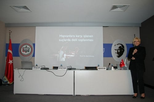 Hayvanların Yaşama Hakkı  İnsan Haklarımıza Dâhildir - 16