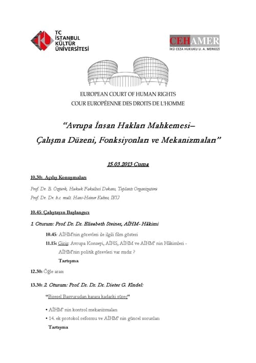 Aihm, Çalışma Düzeni, Fonksiyonları Ve Mekanizmaları

 - 2