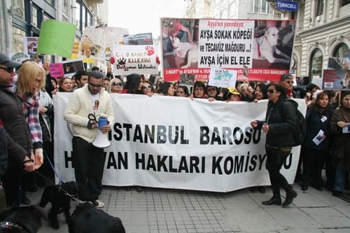 Hayvanseverler Yaşam Hakkı İçin Yürüdü

 - 27