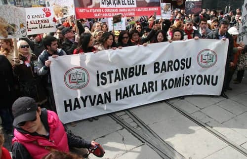 Hayvanseverler Yaşam Hakkı İçin Yürüdü
