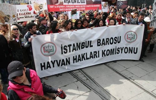 Hayvanseverler Yaşam Hakkı İçin Yürüdü