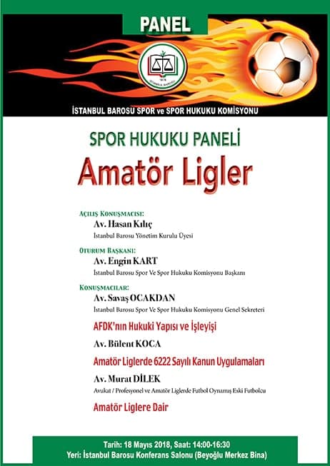 Amatör Ligler