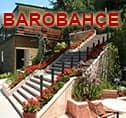 Barobahçe&Libra İnternet Sitemiz Yenilendi